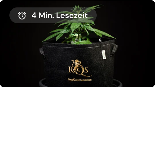 Topfarten